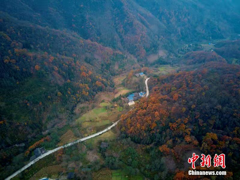 ?? ???????...???? ??? ??????