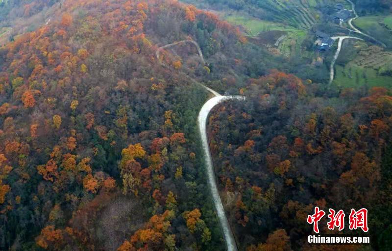 ?? ???????...???? ??? ??????