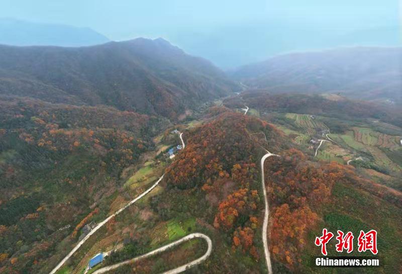 ?? ???????...???? ??? ??????