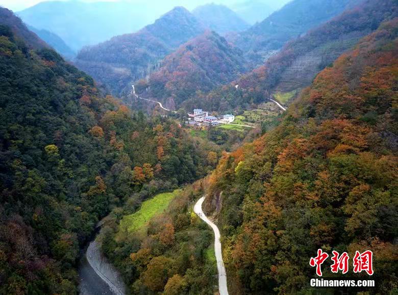 ?? ???????...???? ??? ??????