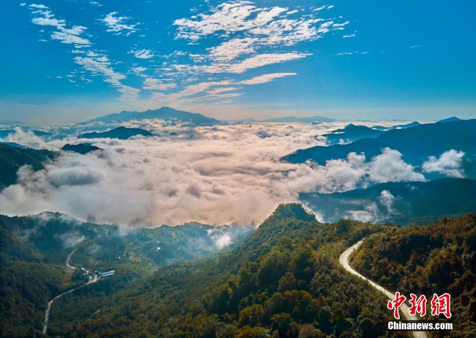 ?? ???????...???? ??? ??????