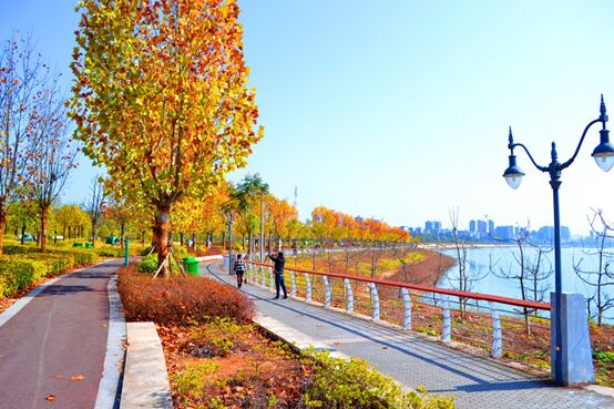 67 ????? ??? ???????? ?? ????? ????? ?????? ?? ?????? ??? ?????? ?? ?????