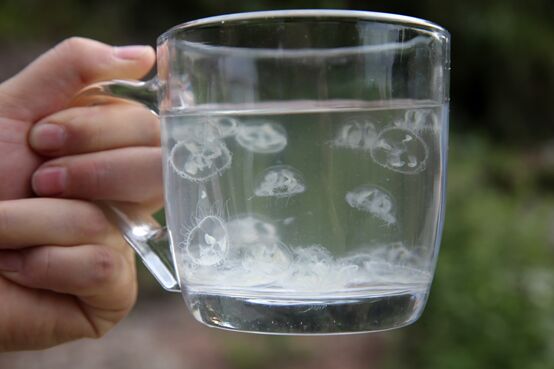 67 ????? ??? ???????? ?? ????? ????? ?????? ?? ?????? ??? ?????? ?? ?????