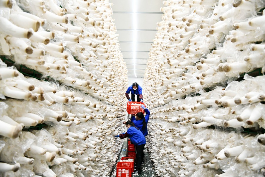 ????? ???? ???? ????????? ???????? ???????? ?????? ?? ????? ?????