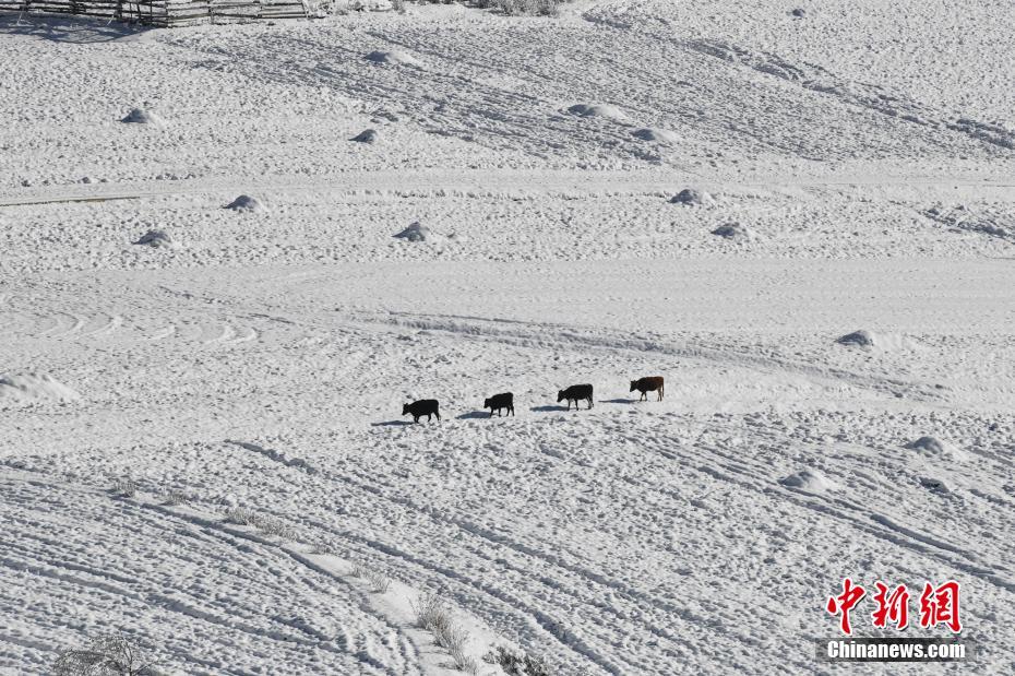 ???????? ??? ????? .. ???? ???? ??? ????? ???