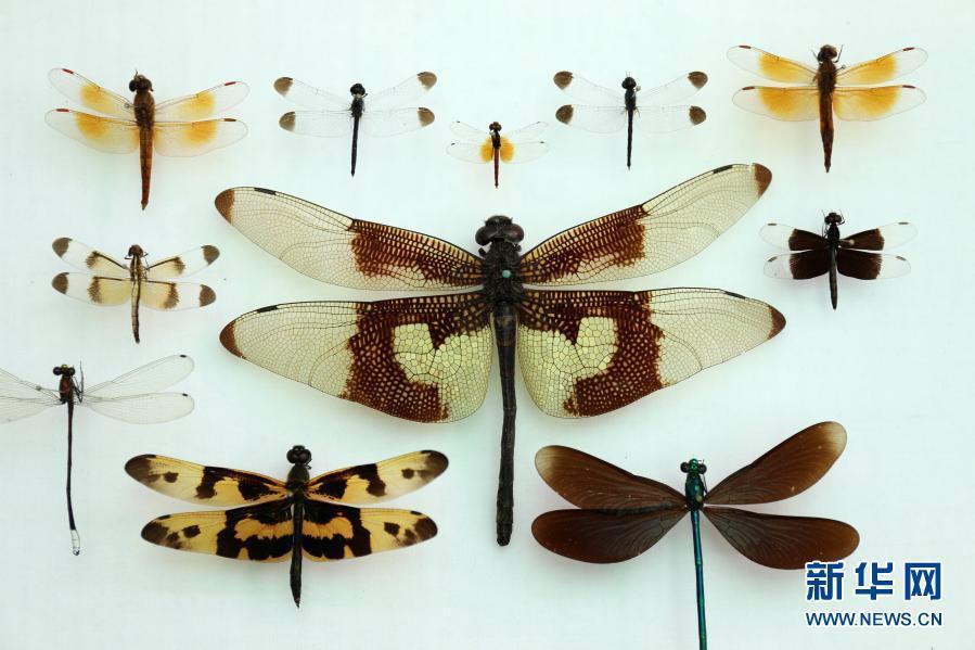 15 ???... ???? ????? ?? ?????? ????? ?? ??????? ???????