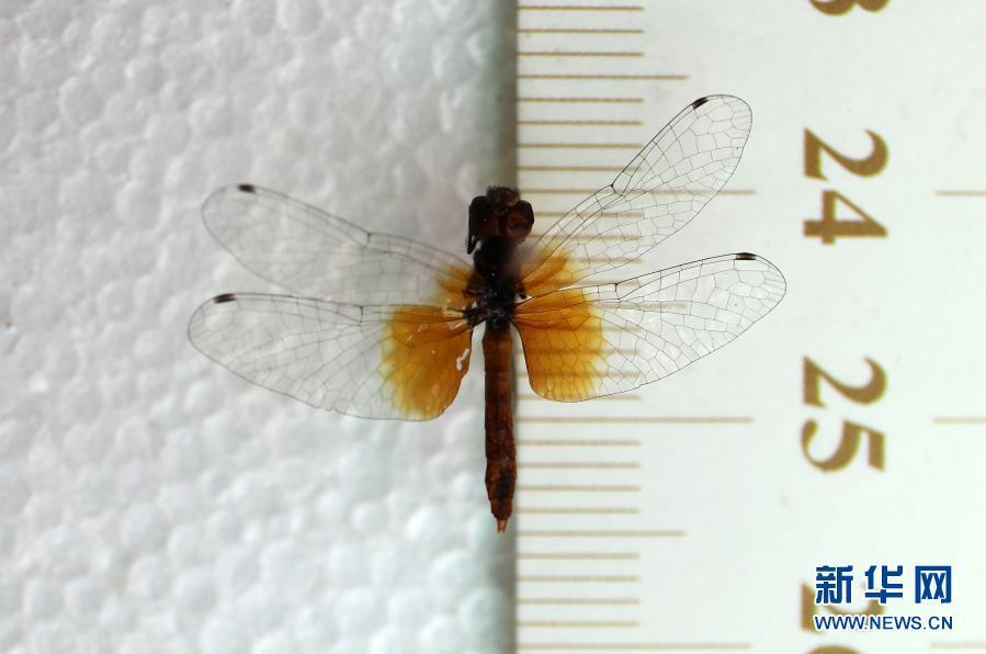 15 ???... ???? ????? ?? ?????? ????? ?? ??????? ???????