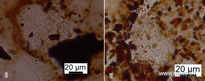 ?????? ????? ???? ???? ?? 4000 ??? ?? ??? ?????