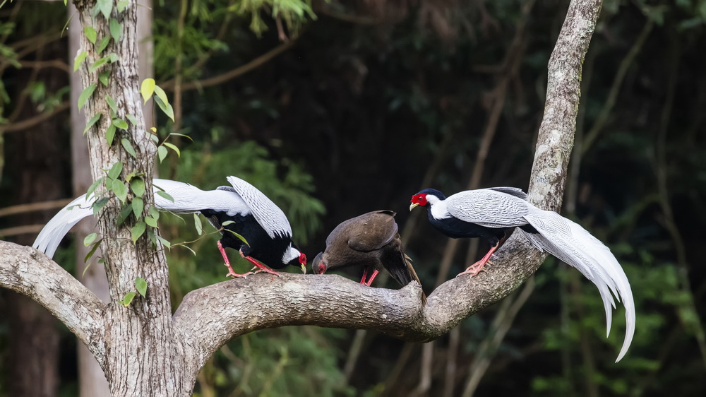 ???? ?? ????? ????? ... ???? ???? ?????? ??????? ????????