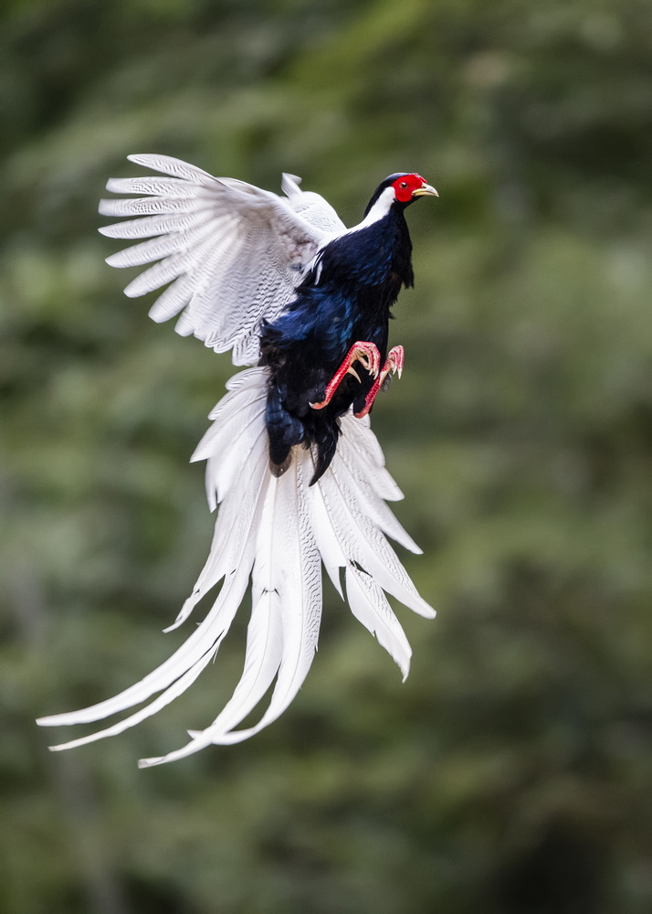 ???? ?? ????? ????? ... ???? ???? ?????? ??????? ????????