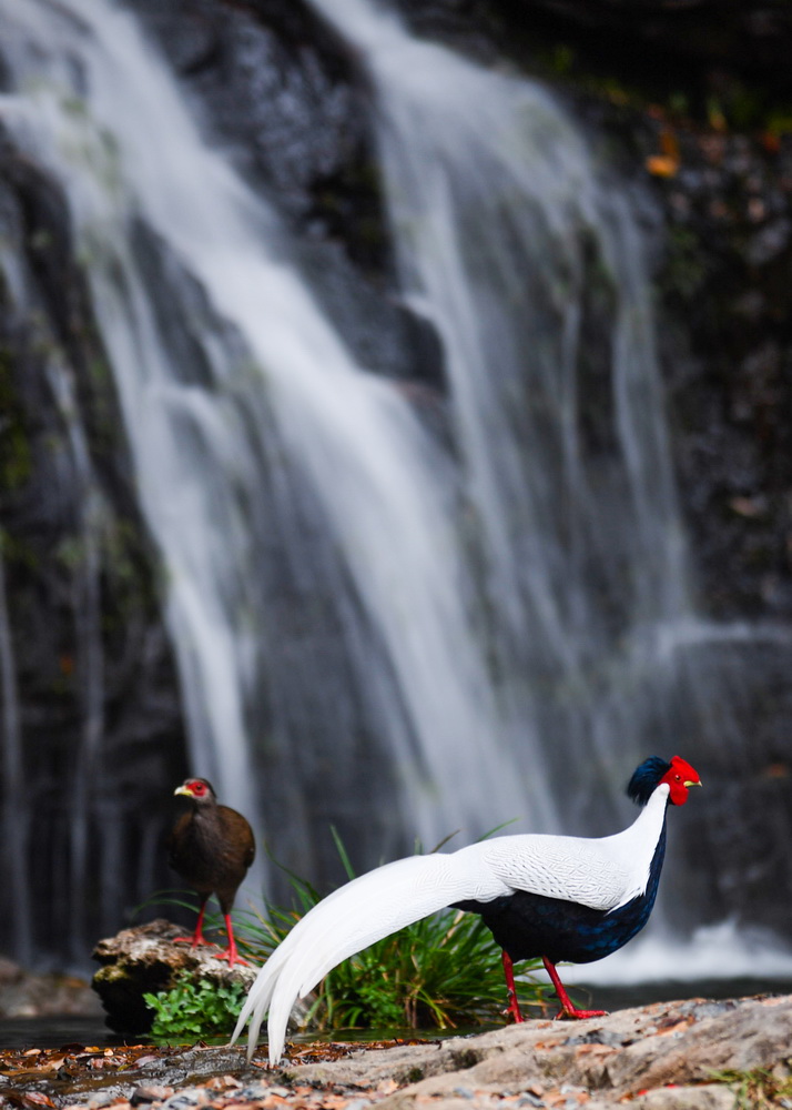 ???? ?? ????? ????? ... ???? ???? ?????? ??????? ????????