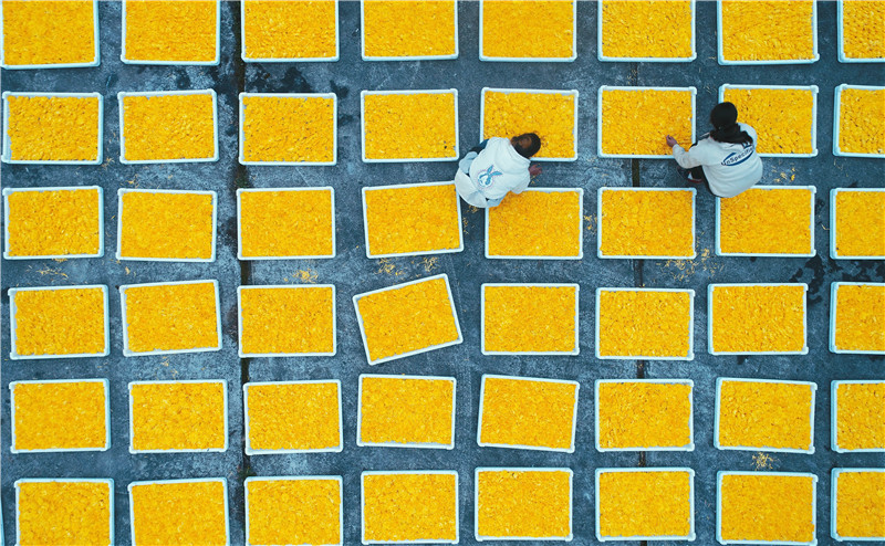 ????? ???????? ????? ???? ???? ?????? ??????? ?? ???? ?????