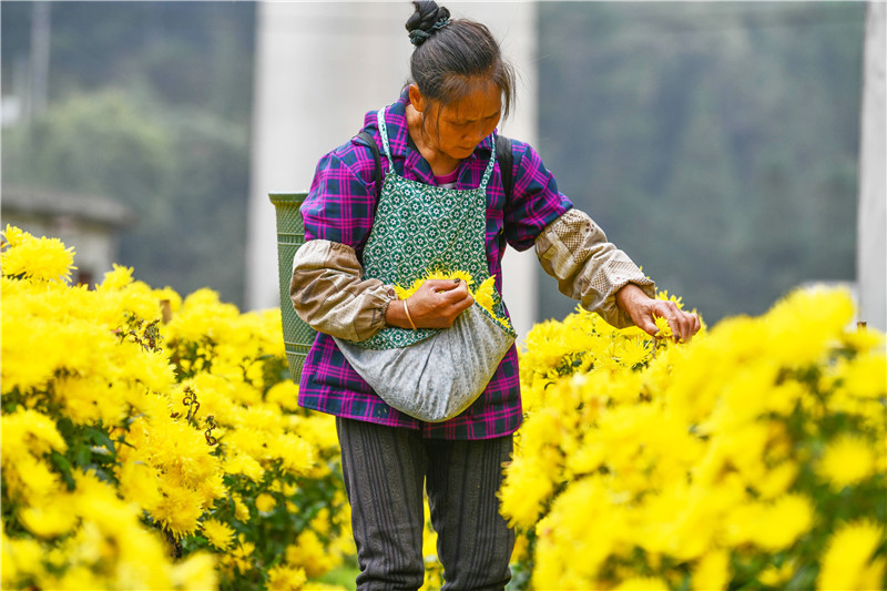 ????? ???????? ????? ???? ???? ?????? ??????? ?? ???? ?????