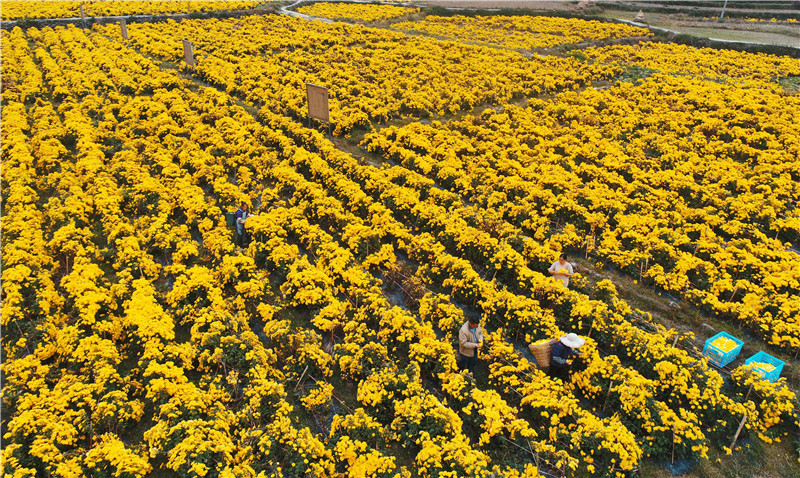 ????? ???????? ????? ???? ???? ?????? ??????? ?? ???? ?????