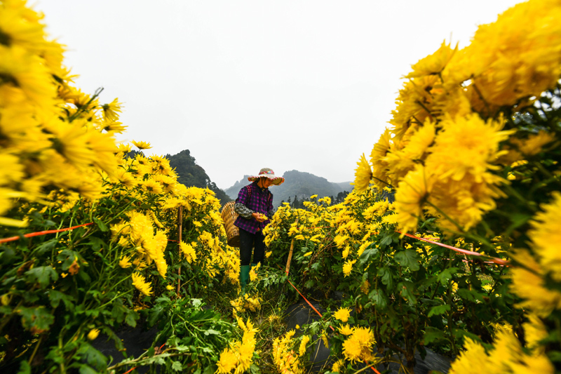 ????? ???????? ????? ???? ???? ?????? ??????? ?? ???? ?????