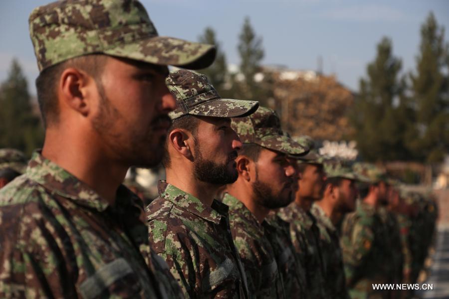 ?????? 1279 ???? ???????? ?? ????? 200 ?????? ??? ?????