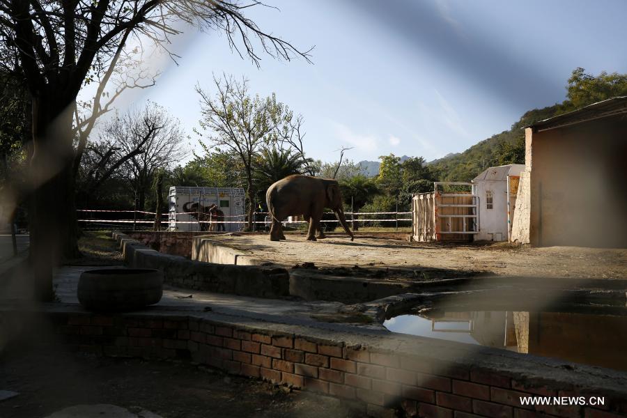 ???? ????? ??????? ????? ??? ???????