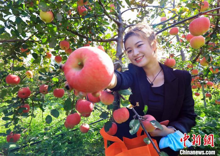 ??????? ??????? ??????? ?? ????? ?????? 850 ????? ???? ?? ??? 2019