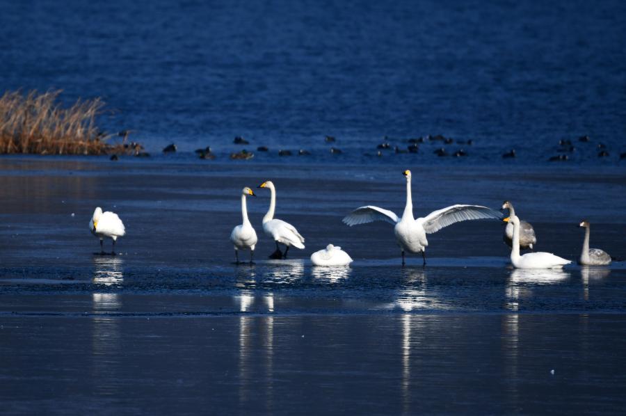 ?? ??? ??? ??????? ????? ????? ??? ?????? ?????? ?????? ????