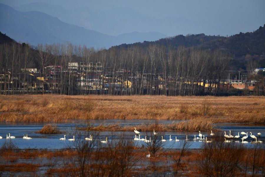 ?? ??? ??? ??????? ????? ????? ??? ?????? ?????? ?????? ????