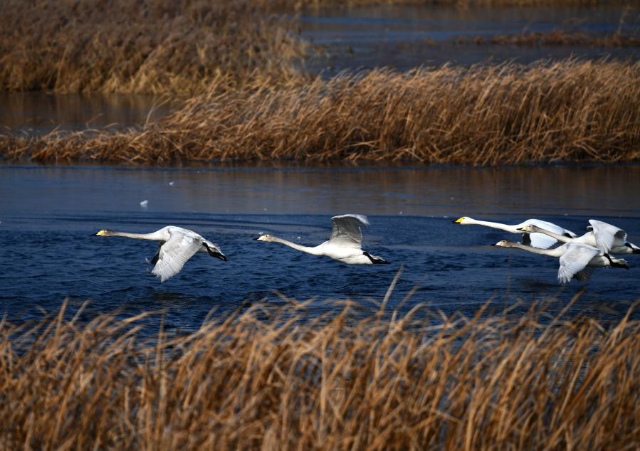 ?? ??? ??? ??????? ????? ????? ??? ?????? ?????? ?????? ????