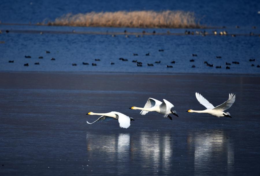 ?? ??? ??? ??????? ????? ????? ??? ?????? ?????? ?????? ????