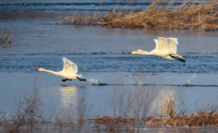 ?? ??? ??? ??????? ????? ????? ??? ?????? ?????? ?????? ????