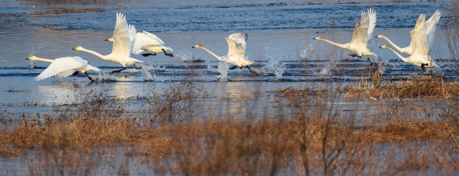 ?? ??? ??? ??????? ????? ????? ??? ?????? ?????? ?????? ????