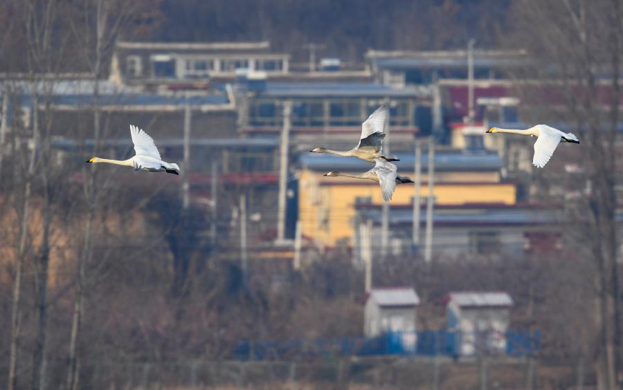 ?? ??? ??? ??????? ????? ????? ??? ?????? ?????? ?????? ????