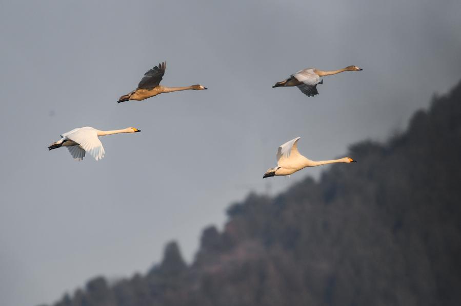 ?? ??? ??? ??????? ????? ????? ??? ?????? ?????? ?????? ????