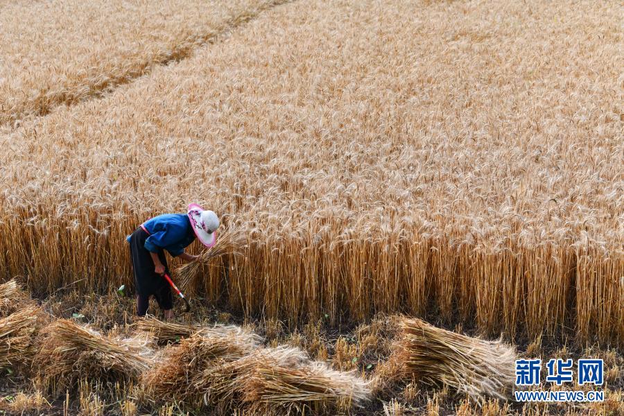 670 ????? ???????? ... ??? ????? ?????? ?? ????? ???? 2020