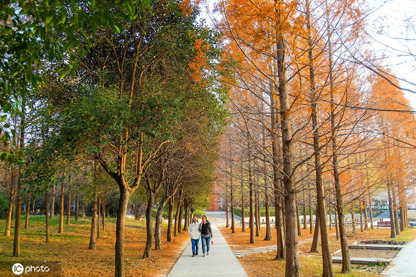 ????? ????? ????? ??????? ???? ????? ??????? ?? ??? ????