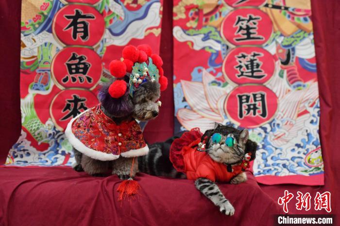 ??????? ??? ????????? ??????? ???? ????? ?? ?????? ????? ??????