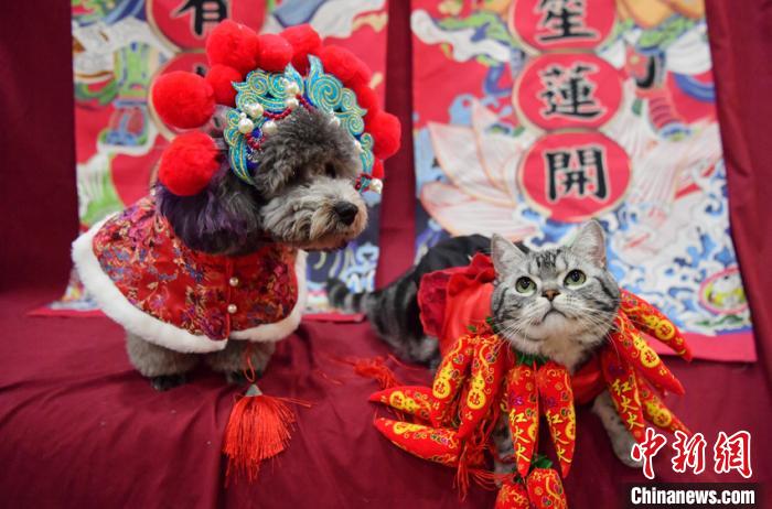 ??????? ??? ????????? ??????? ???? ????? ?? ?????? ????? ??????