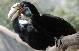 ???? ??????? ??????... ????? ????? ?????? ?????? ????? ????????? ??? ?????? ?? ?????