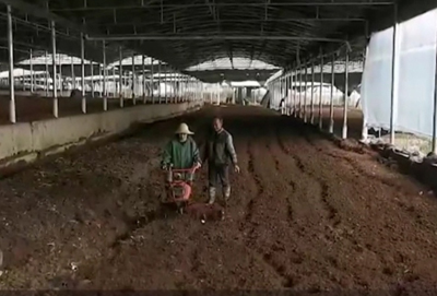 ???? ????? ?????? ?? ???? ????? ?????? ??????? ??? ?????