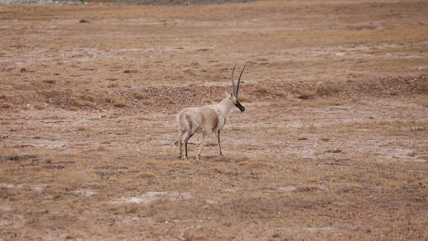 ????? ?????? ??????? ???? ??? ??????? ???? ???? ???????