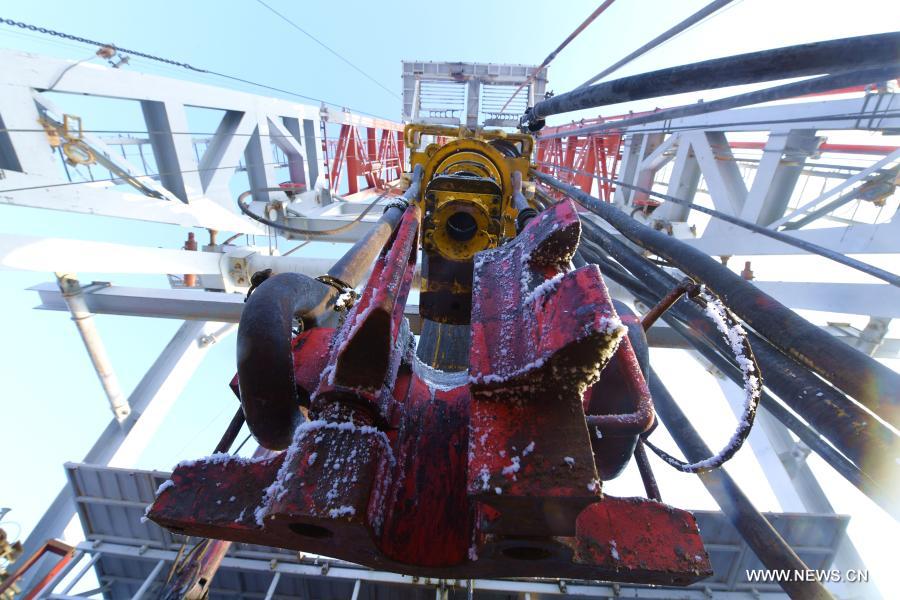 ?????? ??????? ??? ?? ????? ??????? ?? ???????? ????? ???? ?????