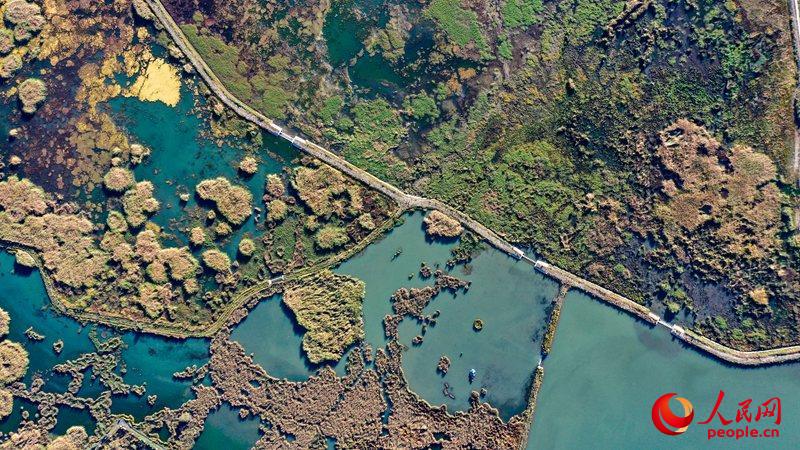 ????? ???? ??????? ??????... 