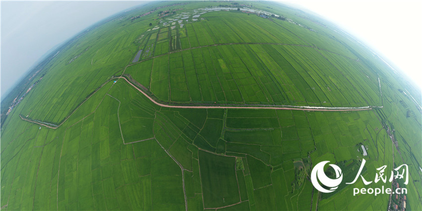 ???? ?????? ????? ?? ???? ??? ???? ??????