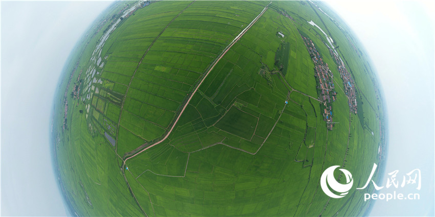 ???? ?????? ????? ?? ???? ??? ???? ??????