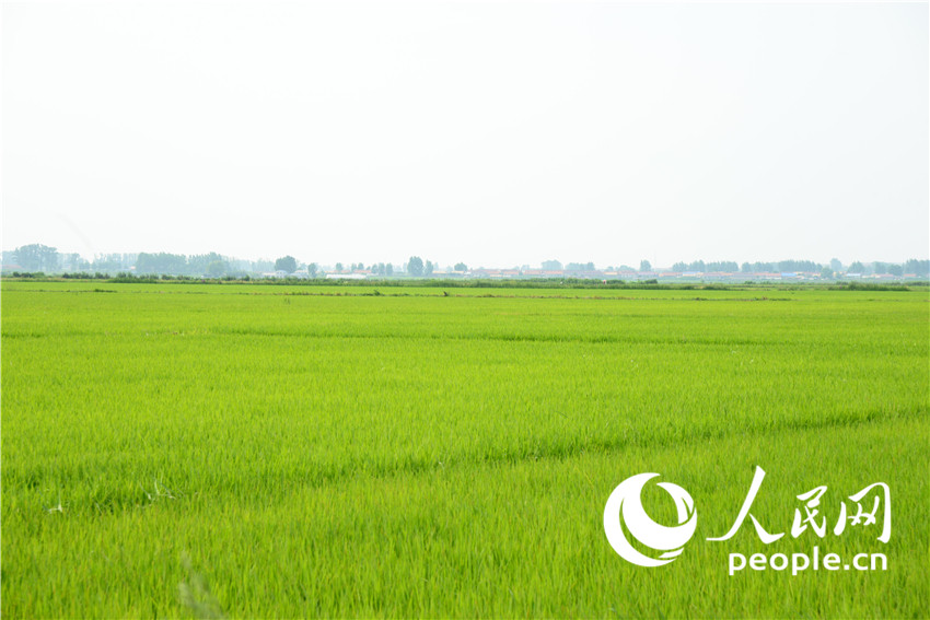 ???? ?????? ????? ?? ???? ??? ???? ??????