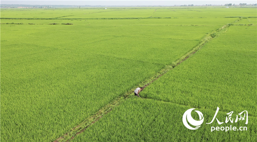 ???? ?????? ????? ?? ???? ??? ???? ??????