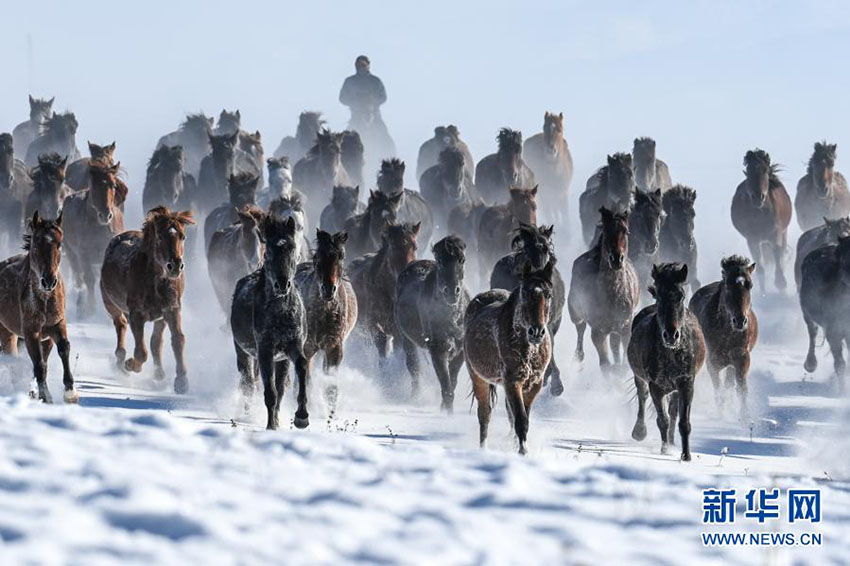 ?????? ?????????? ???? 