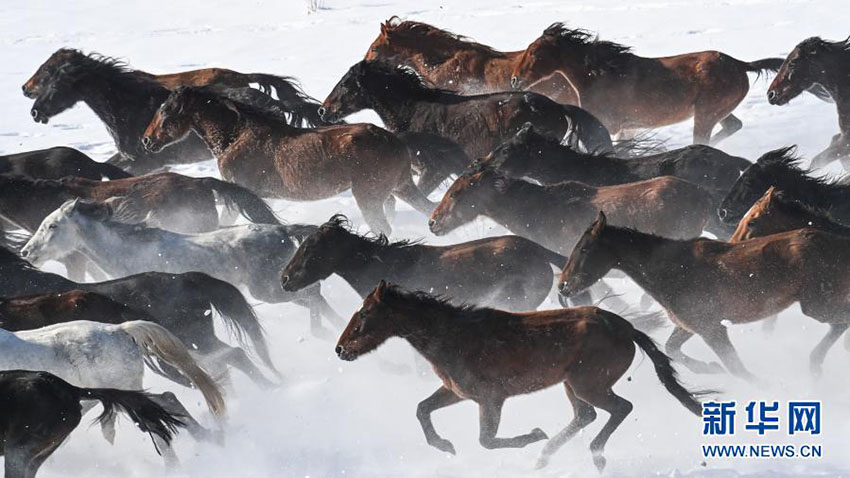 ?????? ?????????? ???? 