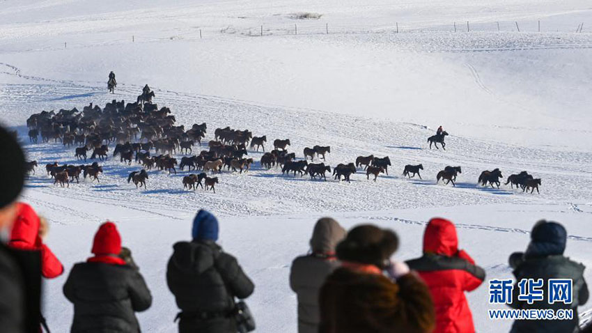 ?????? ?????????? ???? 