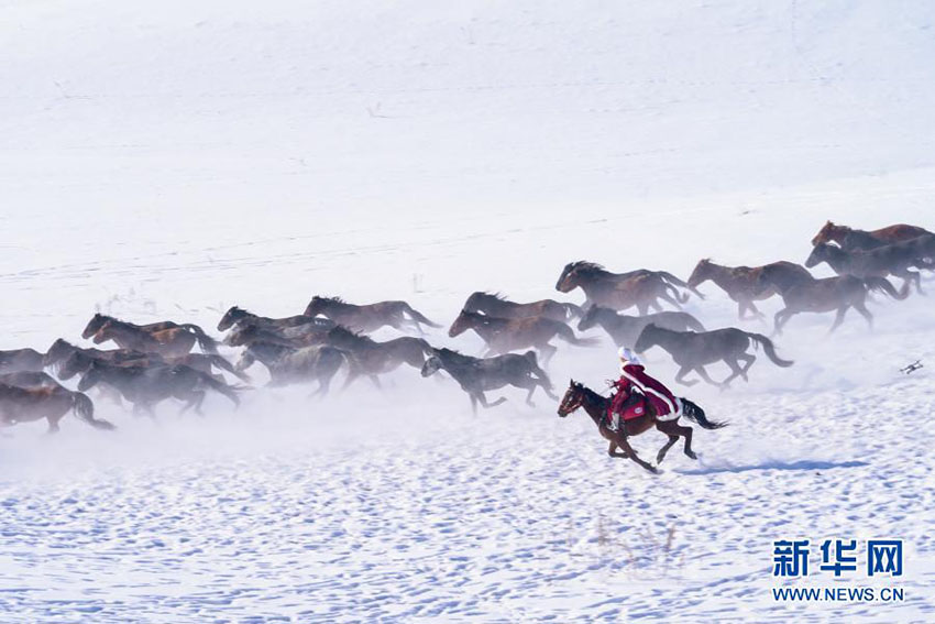 ?????? ?????????? ???? 