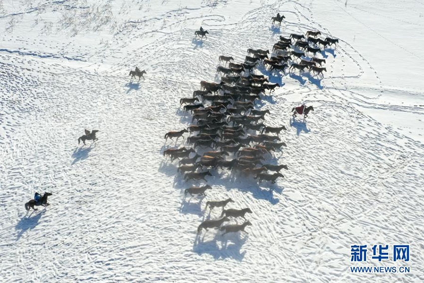 ?????? ?????????? ???? 