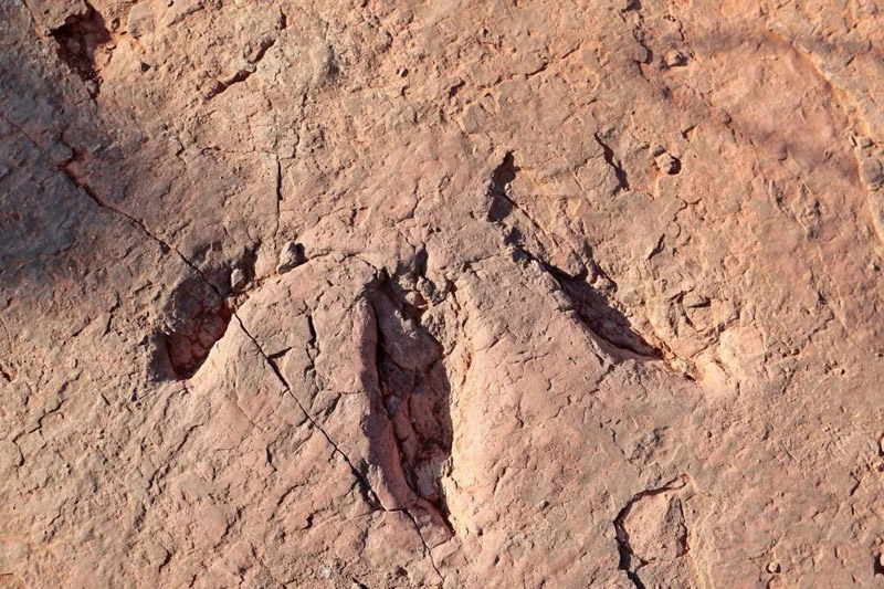 ????? ??????? ???? ?? 240 ???? ?? ???? ????? ??????????? ?? ???? ?????