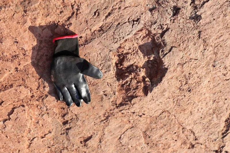 ????? ??????? ???? ?? 240 ???? ?? ???? ????? ??????????? ?? ???? ?????